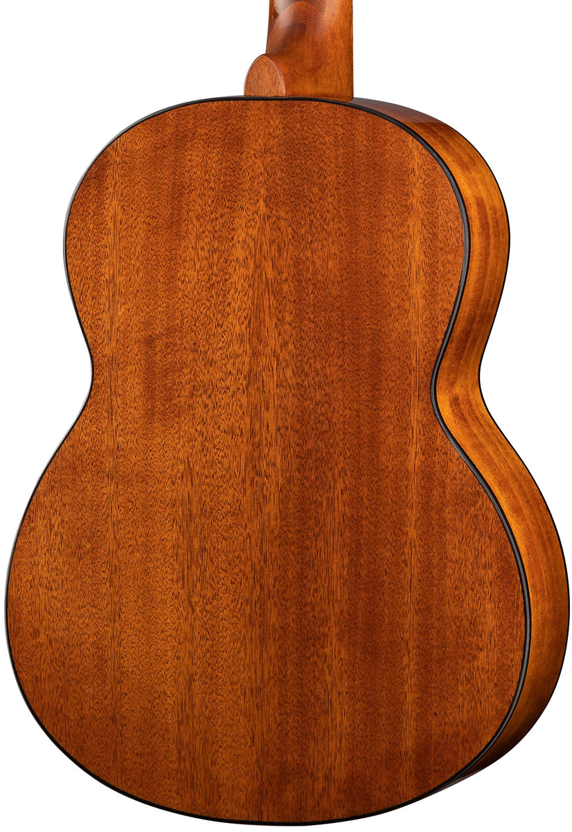 AC100-SG-3.jpg